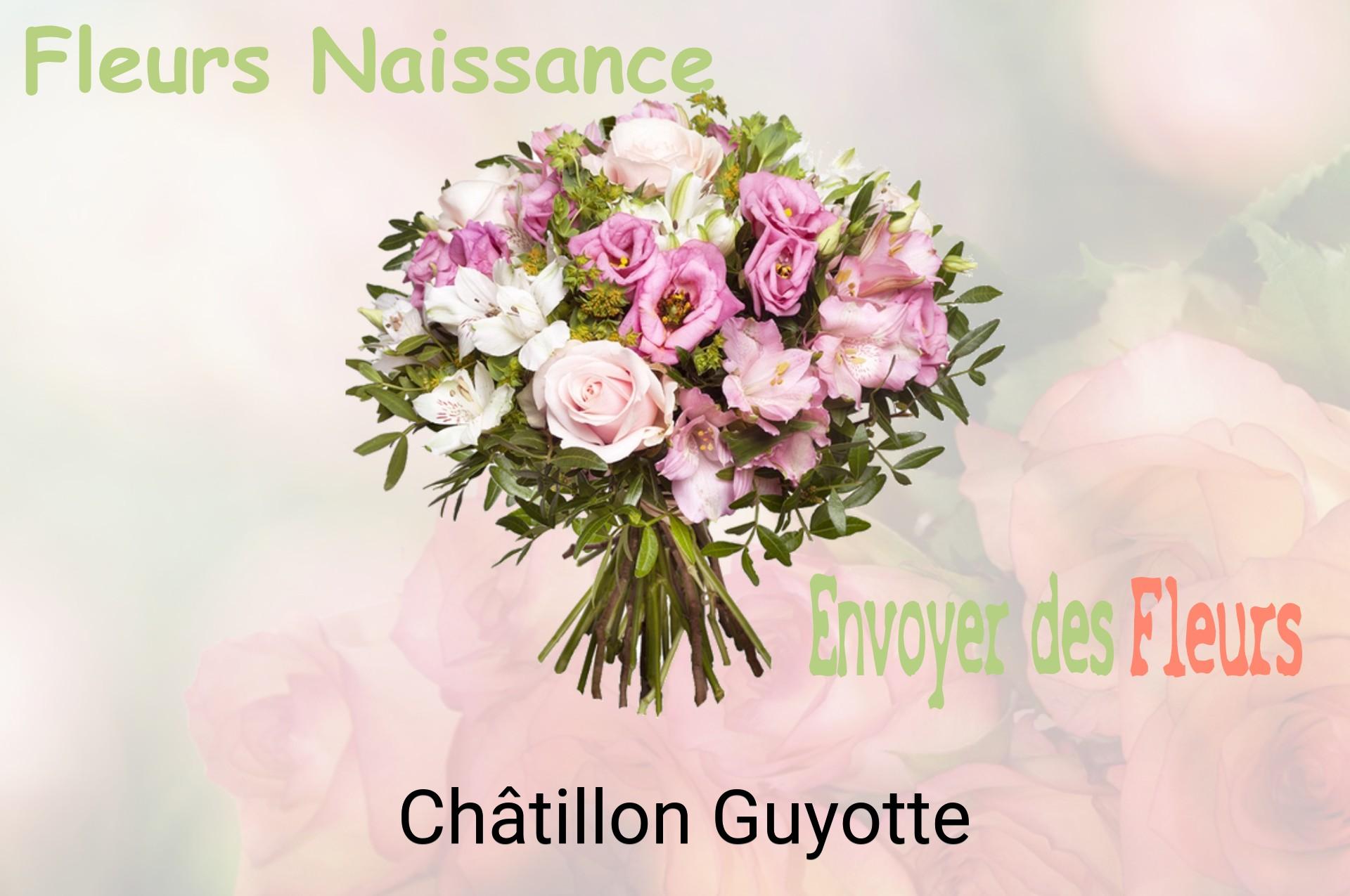 Bouquet de fleurs de naissance livré à Châtillon-Guyotte