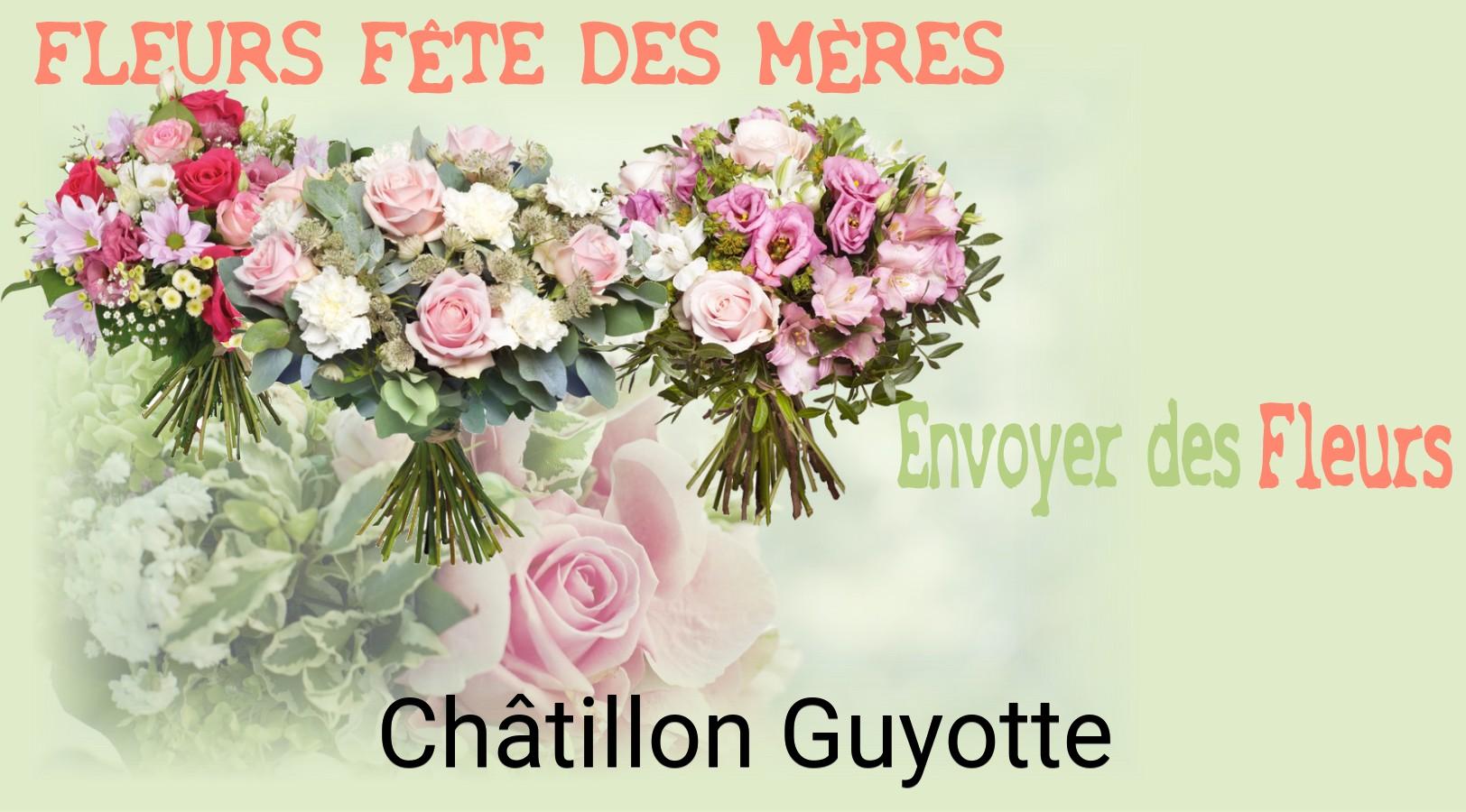 Bouquet de Fête des Mères livré à Châtillon-Guyotte